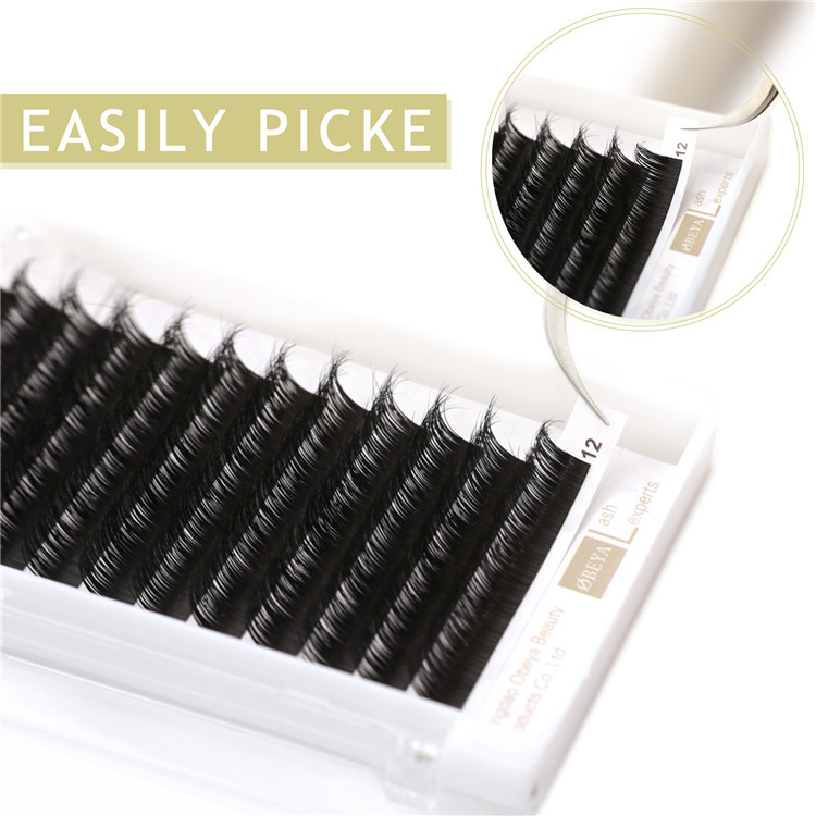 Wholesale Lashes Vendors Supply Real Mink Eyelash Extensions Y12